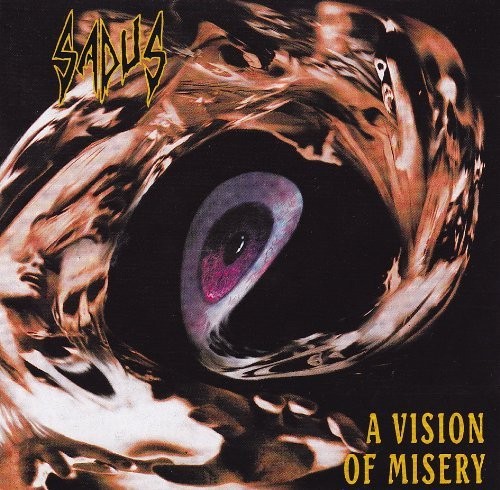A Vision of Misery封面