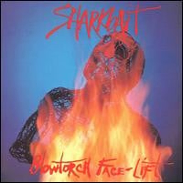 Blowtorch Face-Lift封面