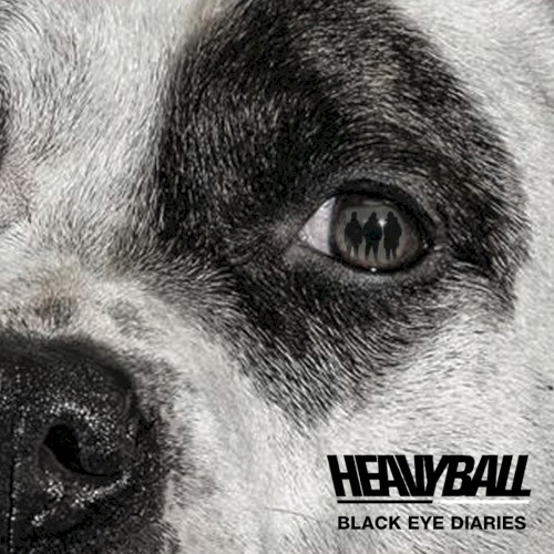 Black Eye Diaries封面