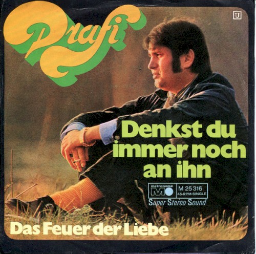 Denkst du immer noch an ihn封面