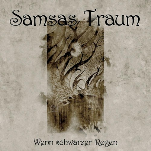 Wenn schwarzer Regen封面