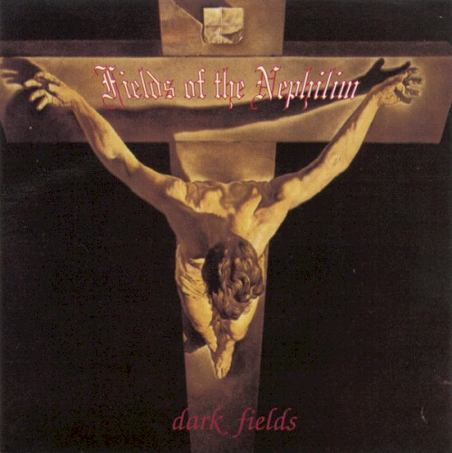Dark Fields封面