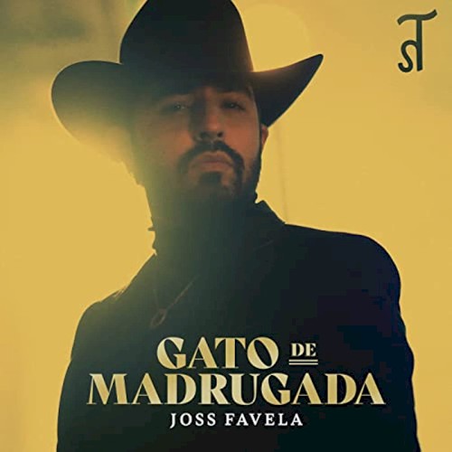 Gato de madrugada封面