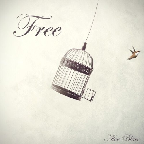 Free封面