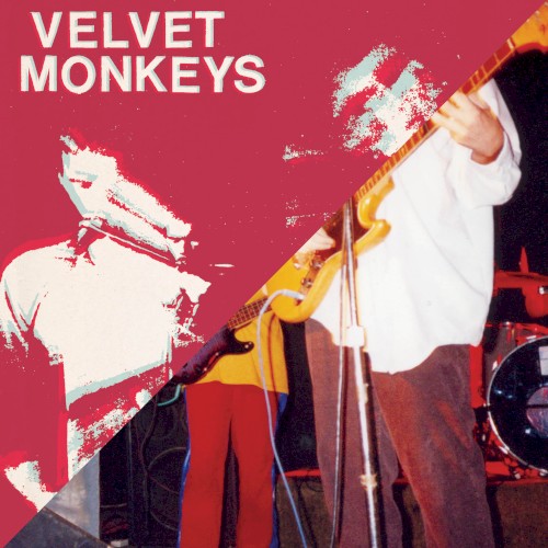 True Believers / Honey封面