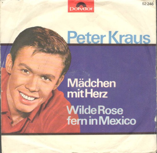 Mädchen mit Herz封面