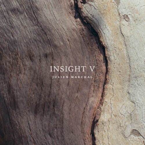 INSIGHT V封面