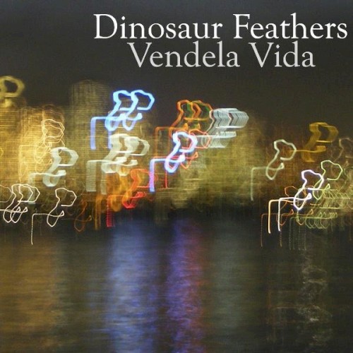 Vendela Vida封面