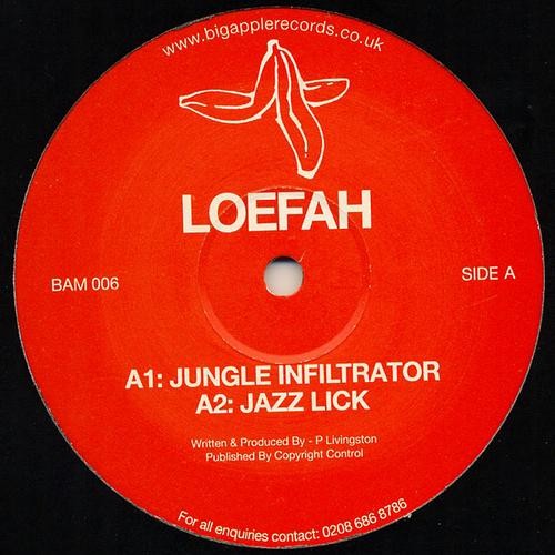 Jungle Infiltrator封面