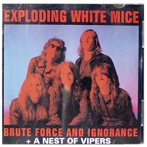 Brute Force And Ignorance封面