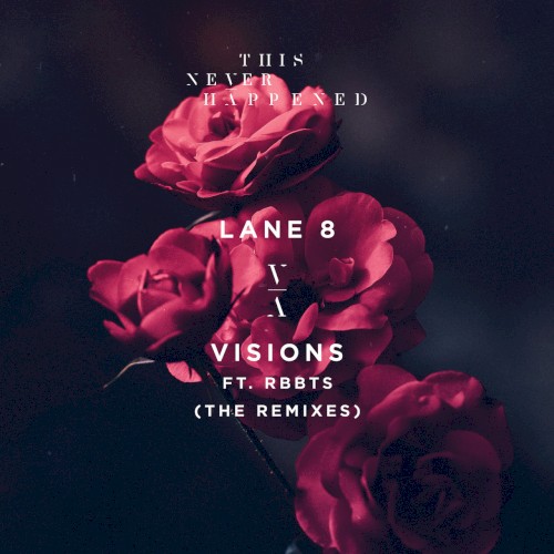 Visions (The Remixes)封面