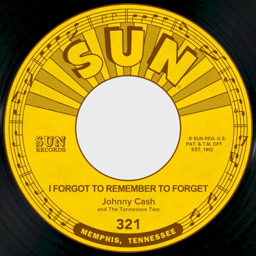 I Forgot to Remember to Forget / Katy Too封面