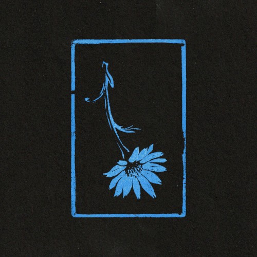 Wildflower封面