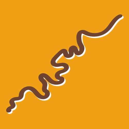 The Brown Snake封面