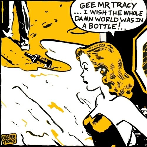 I Wish the Whole Damn World Was in a Bottle封面