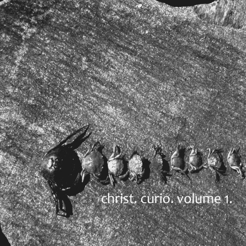 curio. volume 1.封面