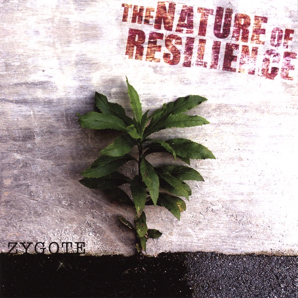 The Nature of Resilience封面