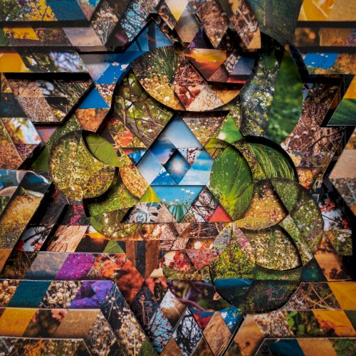 Les Jardins Mystiques Vol.1封面