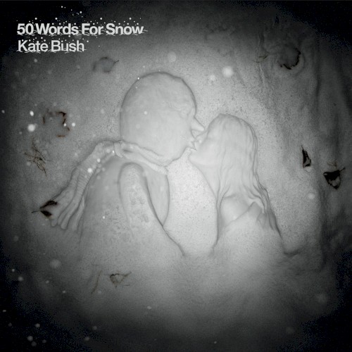 50 Words for Snow封面
