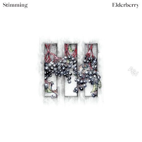 Elderberry封面