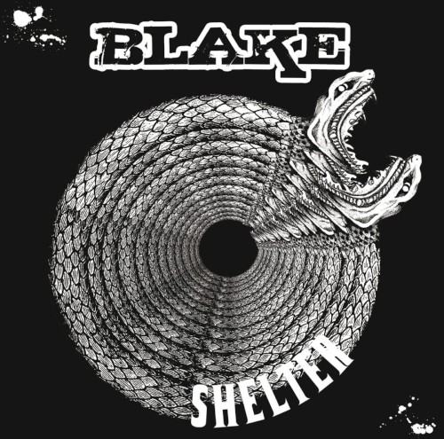 Shelter封面
