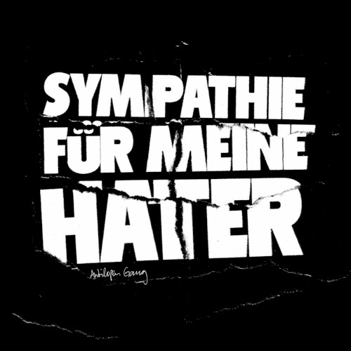 Sympathie für meine Hater封面