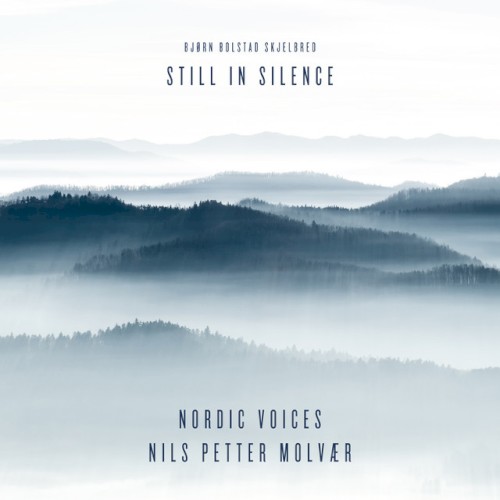 Still in Silence封面