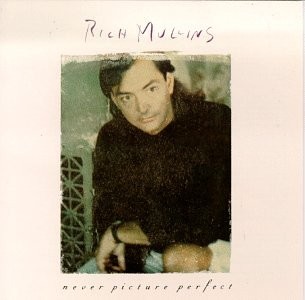 Never Picture Perfect封面