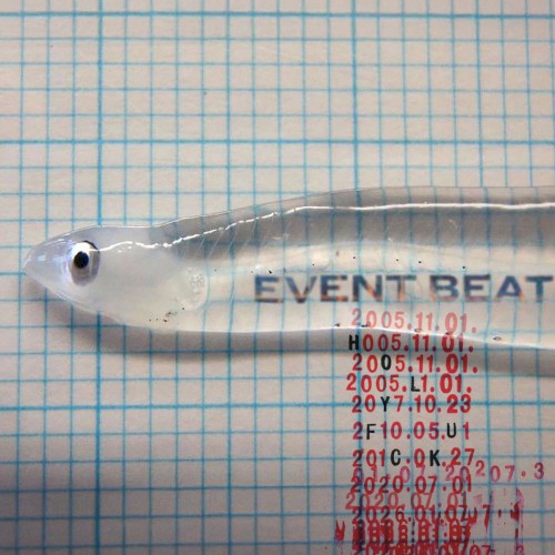 Event Beat封面