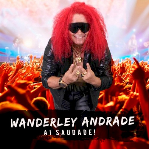Ai Saudade封面