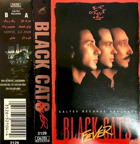 Black Cats Fever - Persian Music封面