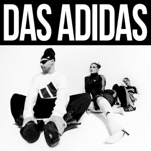 DAS ADIDAS封面
