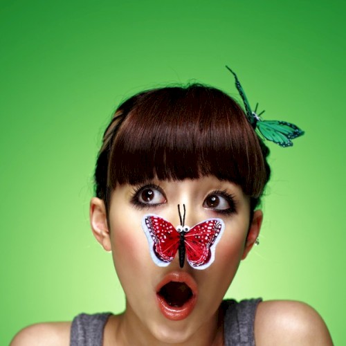 Butterfly封面