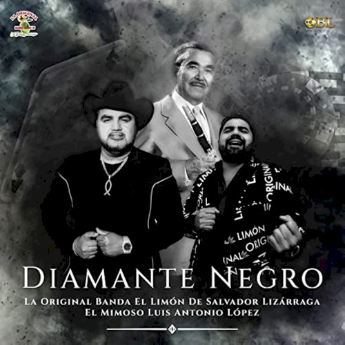 Diamante negro封面