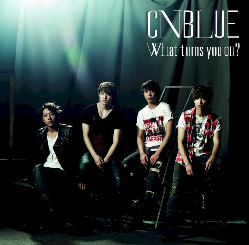 What turns you on?封面