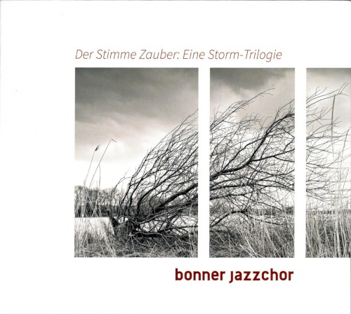 Der Stimme Zauber: Eine Storm-Trilogie封面