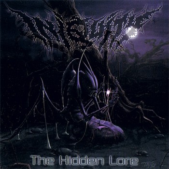 The Hidden Lore封面