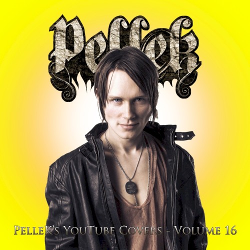 Covers Vol. 16封面
