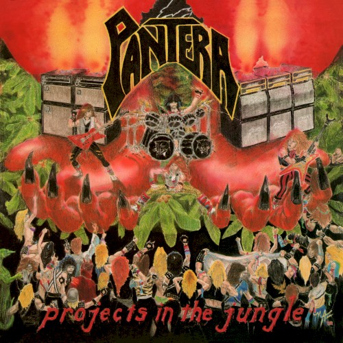 Projects in the Jungle封面