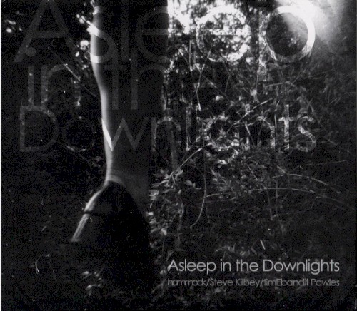 Asleep in the Downlights封面