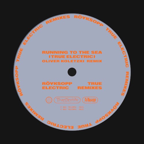 Running to the Sea (True Electric) (Oliver Koletzki remix)封面