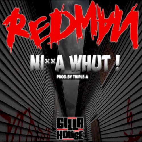 Nigga Whut!封面