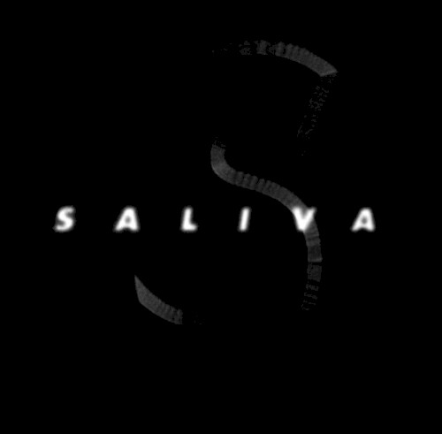 Saliva封面