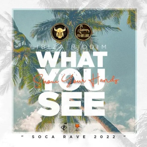 What You See (Show Your Hands)封面
