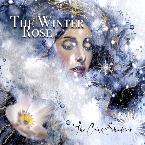 The Winter Rose封面
