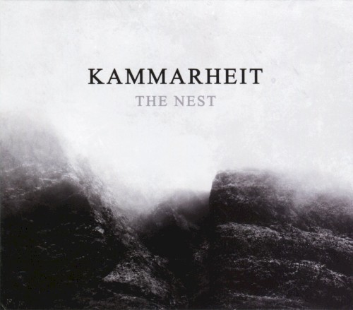 The Nest封面