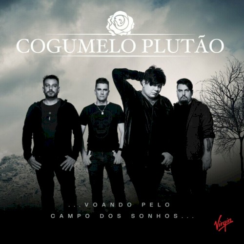 Voando Pelo Campo dos Sonhos封面