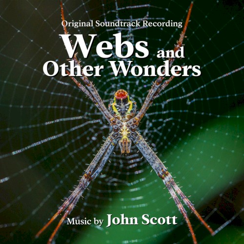 Webs and Other Wonders封面