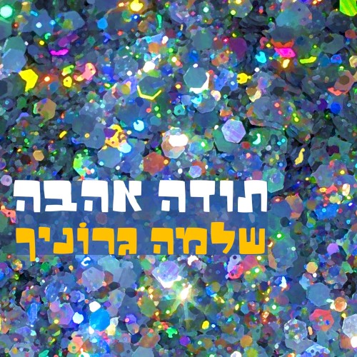 תודה אהבה封面