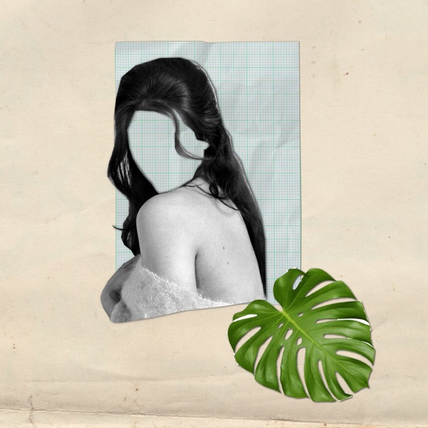 What Became of Laura R?封面